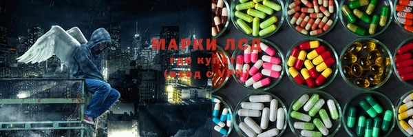 ПСИЛОЦИБИНОВЫЕ ГРИБЫ Алзамай