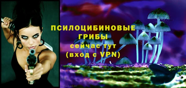 амф Алексин