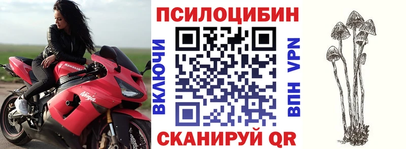 Псилоцибиновые грибы Magic Shrooms Западная Двина